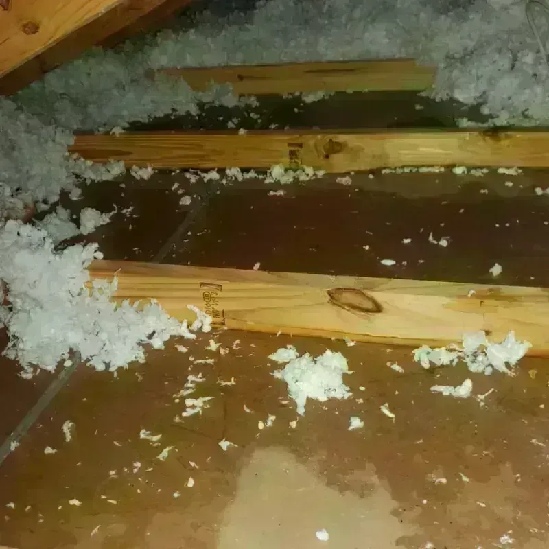 Attic Water Damage in Somerset, MA